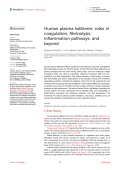 Human plasma kallikrein: roles in coagulation, fibrinolysis, inflammation pathways, and beyond