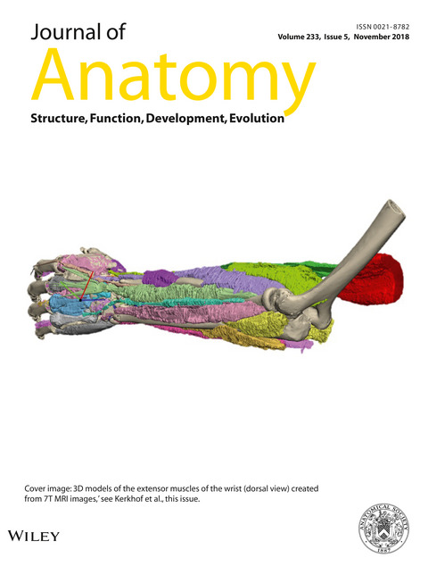 journal of anatomy
