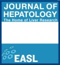 QUANTIFICATION OF HBSAG IN HBV PATIENTS WITH CHRONIC KIDNEY DISEASE: RELATIONSHIP WITH VIRAL LOAD AND HISTOLOGICAL FINDINGS