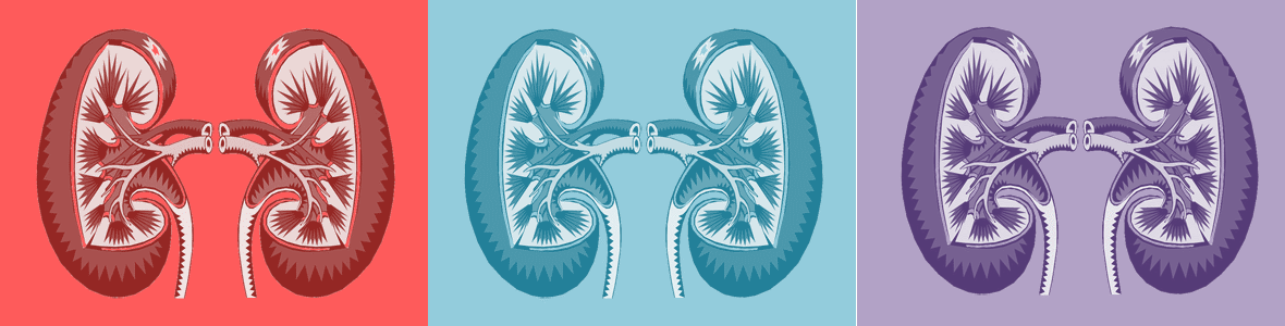 kidney mosaic composition