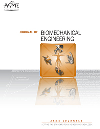 Capa Journal Biomechanical 200X258