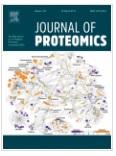 Molecular pathways of varicocele and its repair - A paired labelled shotgun proteomics approach.